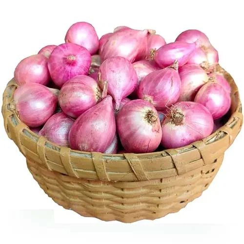 Shallots (Small Onion)